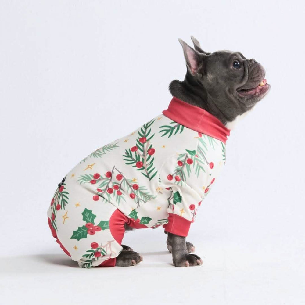 Christmas Pajamas (Assorted) | Spark Paws