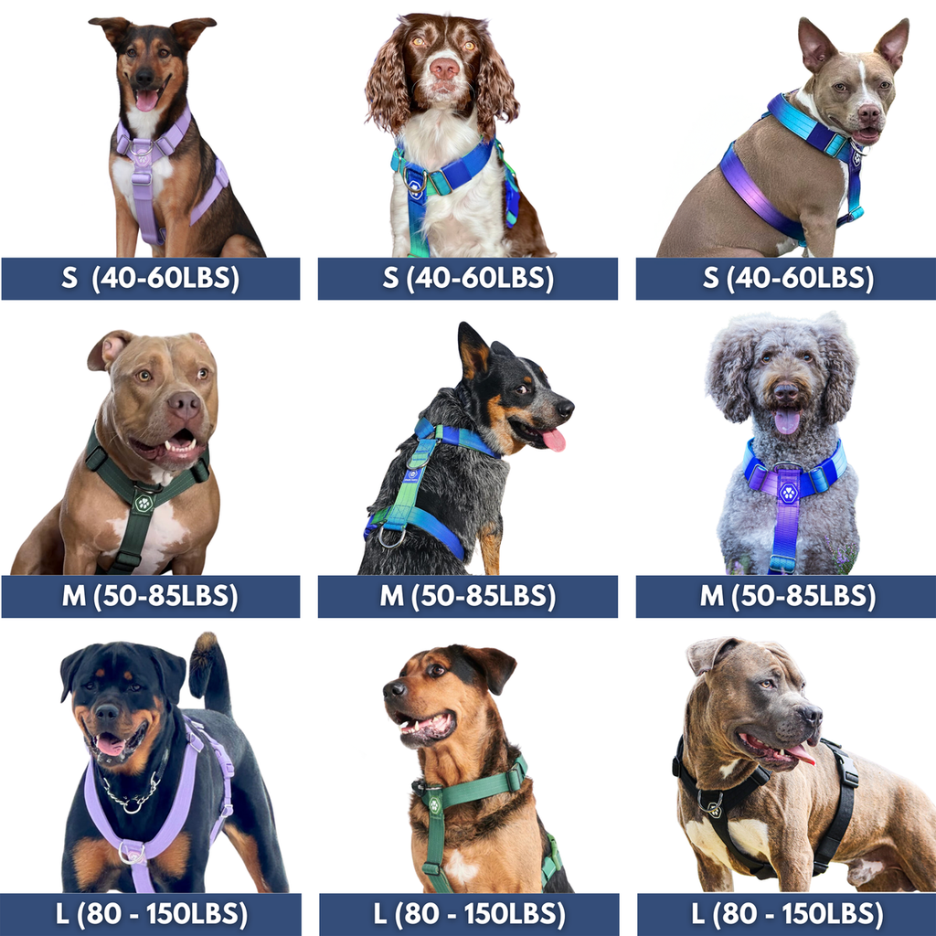 Comfort Control No-Pull Dog Harness (Pastel Icing) | Spark Paws