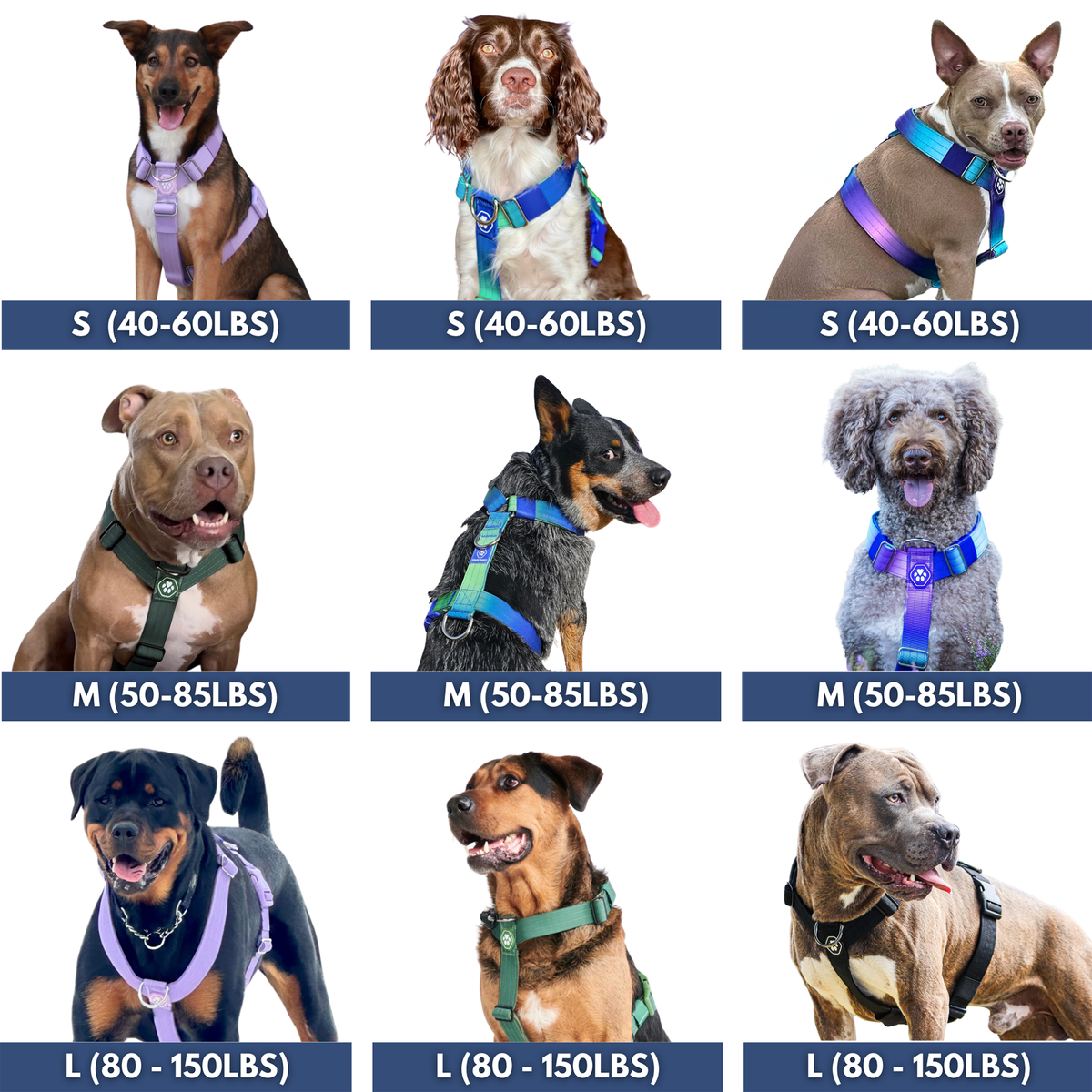 Comfort Control No-Pull Dog Harness (Pastel Icing) | Spark Paws