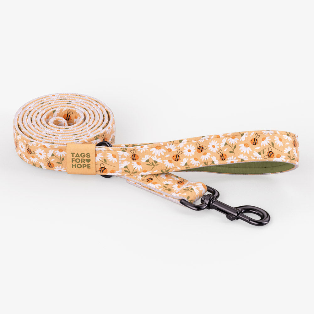 Sweet Yellow Daisies Leash (6' X 5/8") | Tags For Hope