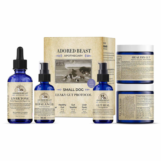 Small Dog Leaky Gut Protocol | Adored Beast Apothecary