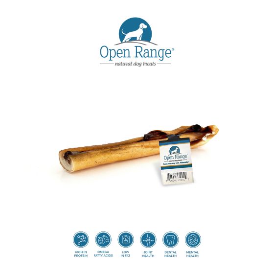 Cheeky Bully Stick (5-6") | Open Range