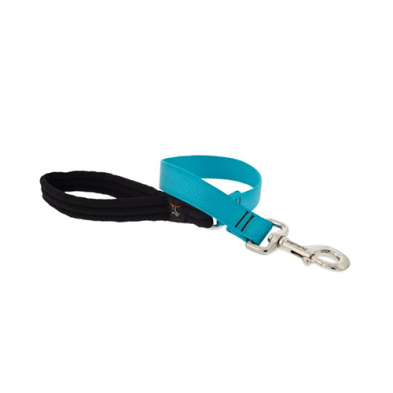 Solid Colour Dog Leash (Aquamarine, 2' X 1") | Lupine