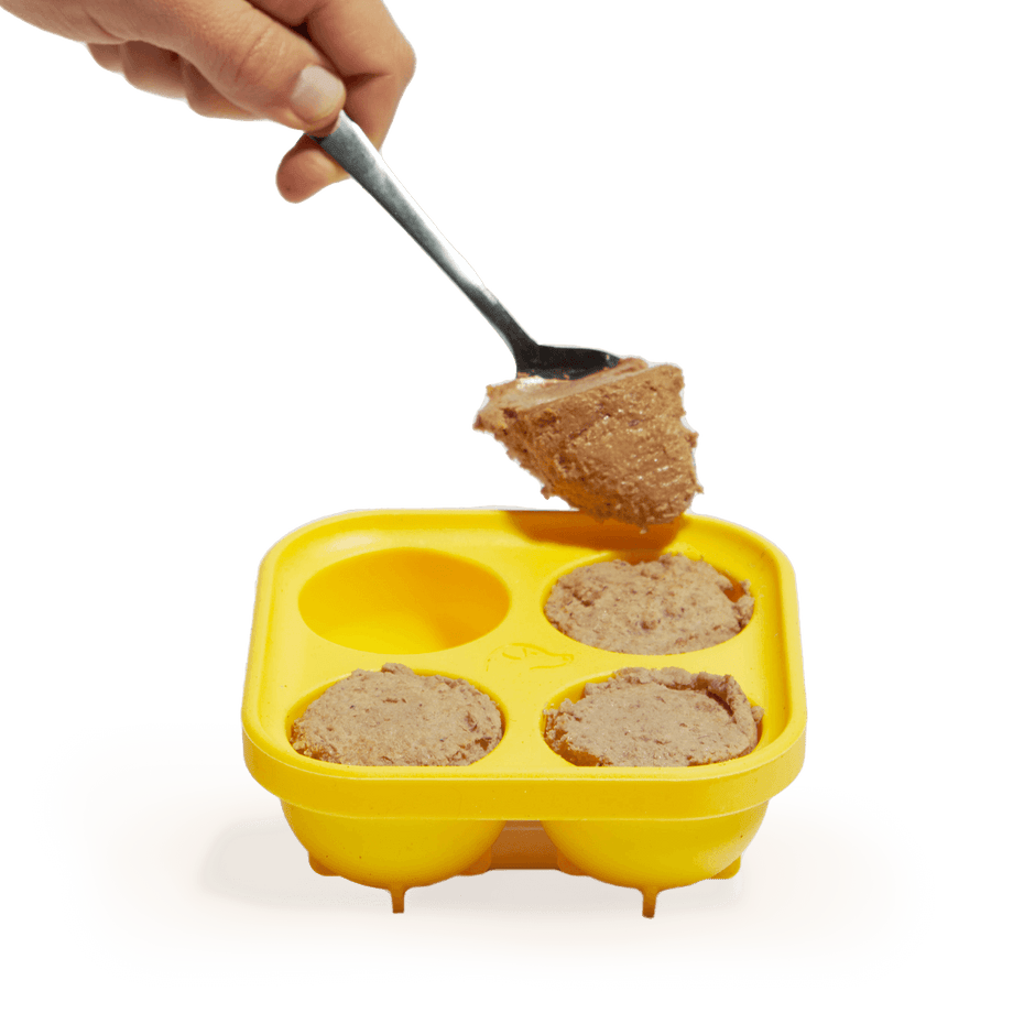Pupsicle Treat Tray (Large) | Woof