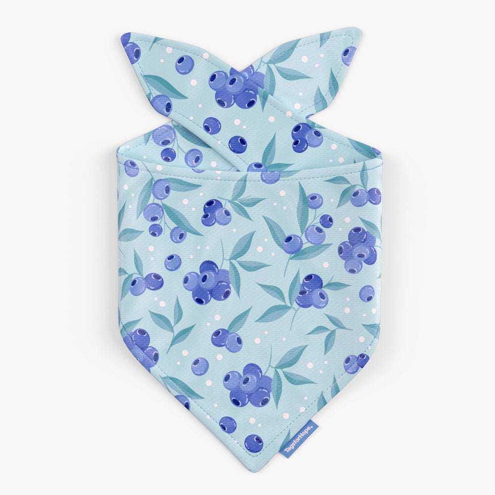 Blueberry Breeze Bandana (Reversible) | Tags For Hope