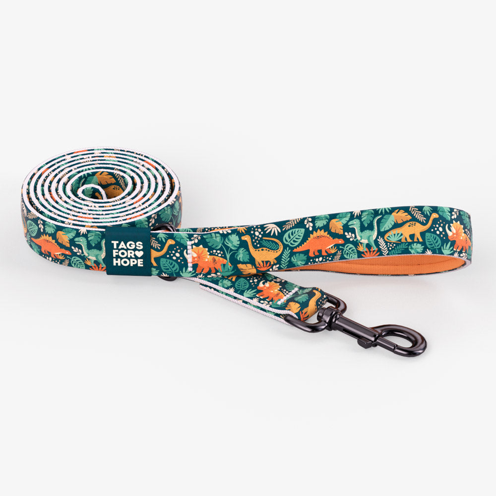 Little Dino Leash (6' X 5/8") | Tags For Hope