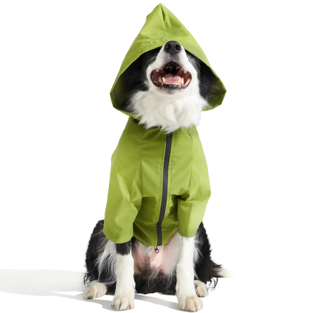 The Dry Dog Raincoat (Green) | BARK