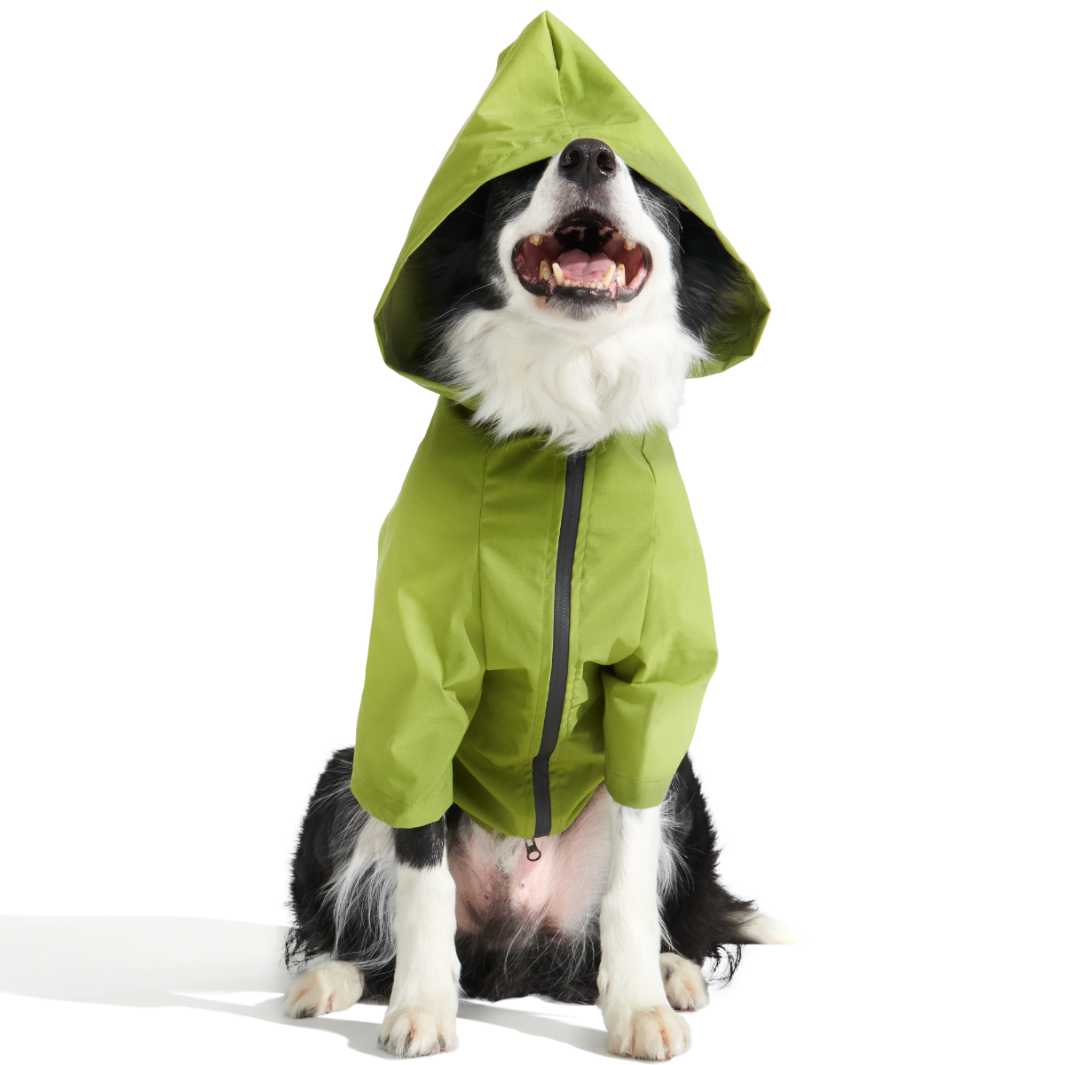 The Dry Dog Raincoat (Green) | BARK