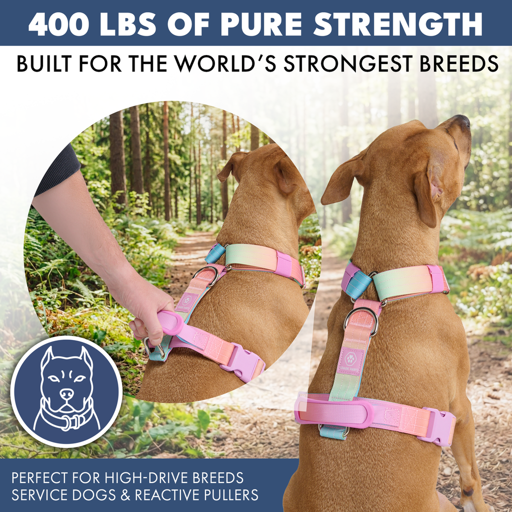 Comfort Control No-Pull Dog Harness (Pastel Icing) | Spark Paws