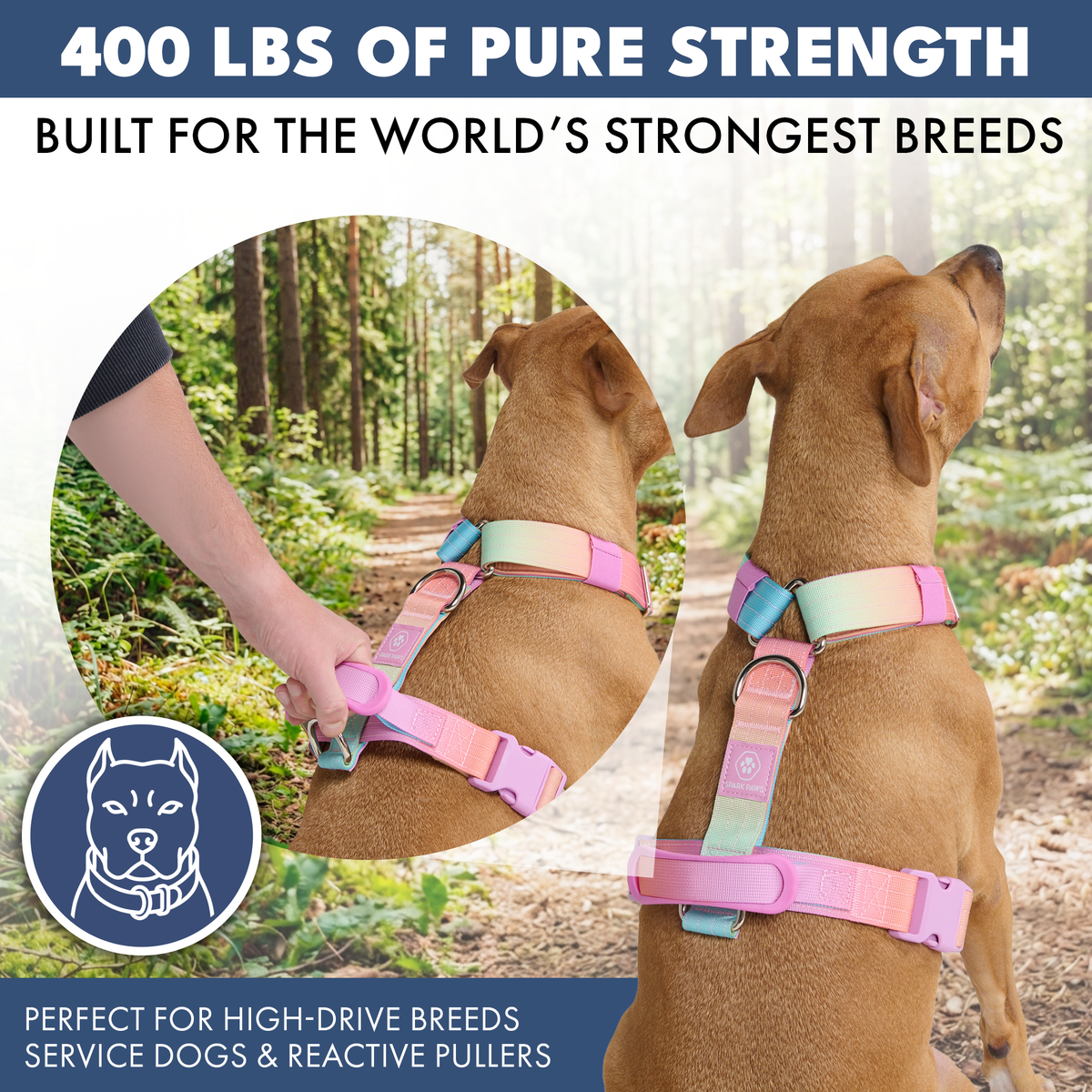 Comfort Control No-Pull Dog Harness (Pastel Icing) | Spark Paws