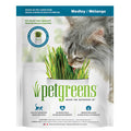 Easy Self-Grow Cat Grass Kit (Medley) | Pet Greens