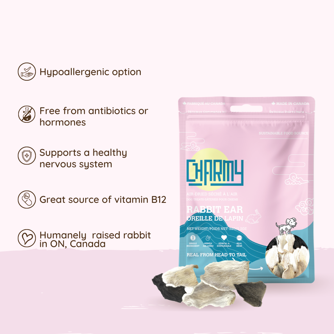 Rabbit Ear Treat | Charmy