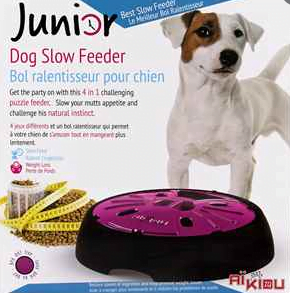 Junior Slow Feeder Puzzle | Aikiou