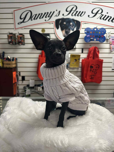 Brentwood Cable Knit Sweater (Orchid Ice) | Shedrow K9