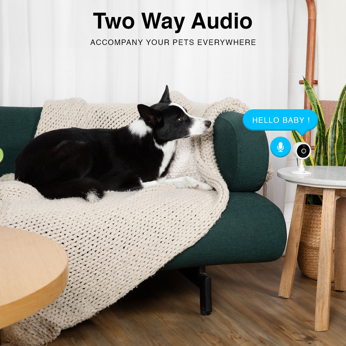 Purrsight Mini Smart Pet Camera | Instachew