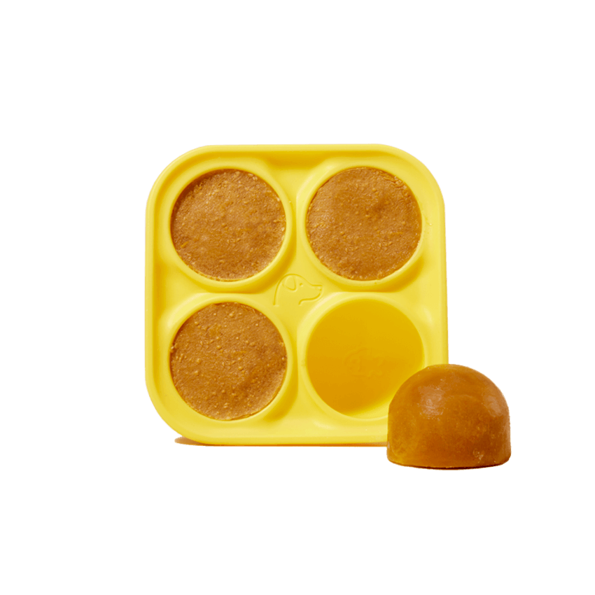 Pupsicle Treat Tray (Large) | Woof