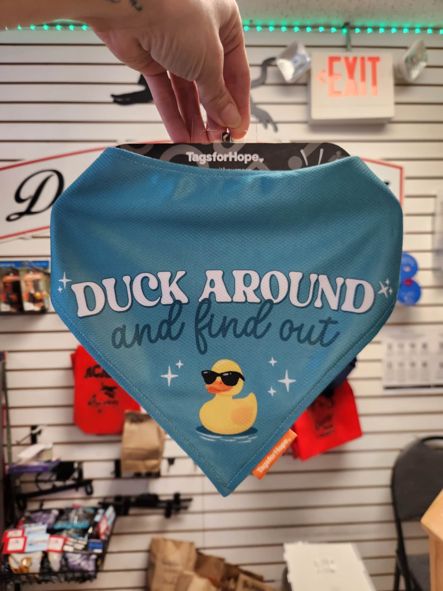 Little Duckies Bandana (Reversible) | Tags For Hope