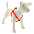 Basic Step-In Harness (Blaze Orange, 10"-13") | Lupine
