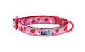 Kitty Breakaway Collar (Strawberries) | RC Pets
