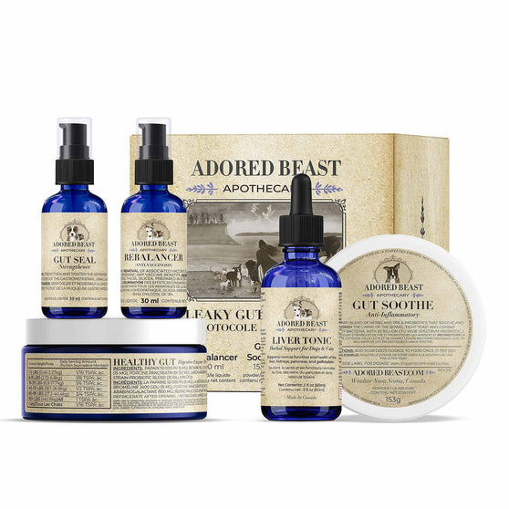 Leaky Gut Protocol | Adored Beast Apothecary