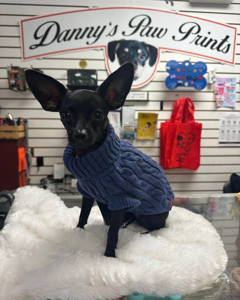 Brentwood Cable Knit Sweater (Skipper Blue) | Shedrow K9