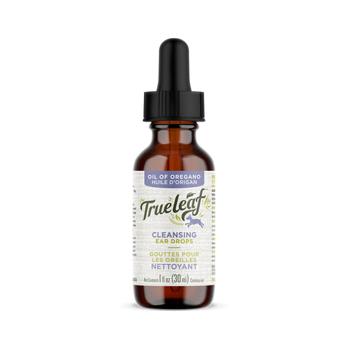 Cleansing Ear Drops | True Leaf