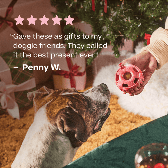 Candy Cane Pupsicle | Woof