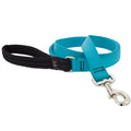Solid Colour Dog Leash (Aquamarine, 6' X 1") | Lupine