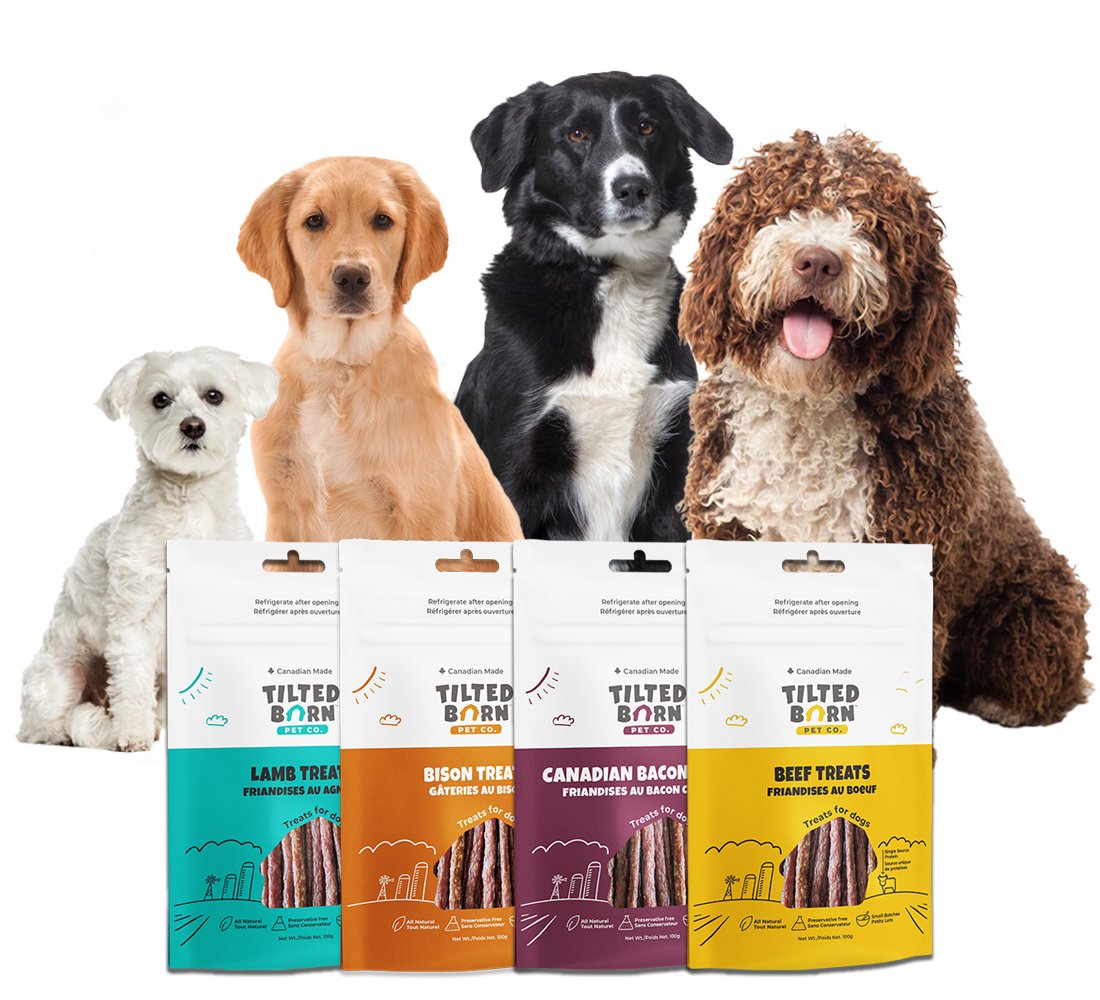 Lamb Treats | Tilted Barn Pet Co.