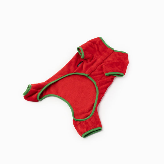 Sleepy Dog Festive Pajamas | Silver Paw