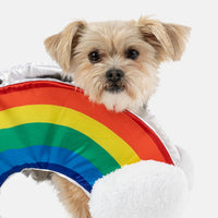 Rainbow Dog Costume | Silver Paw
