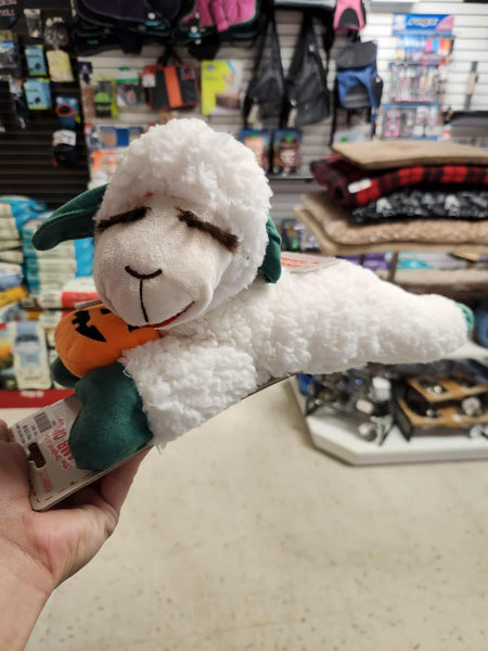 Pumpkin Lamb Chop (Large) | Multipet