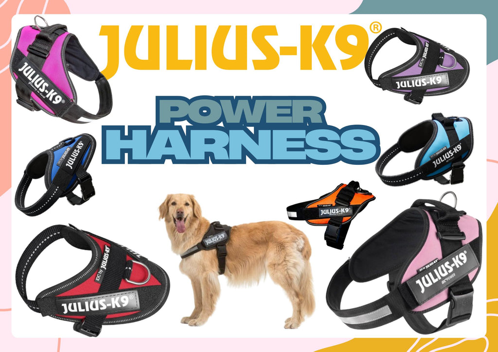 Power Harness (Black) | Julius K9