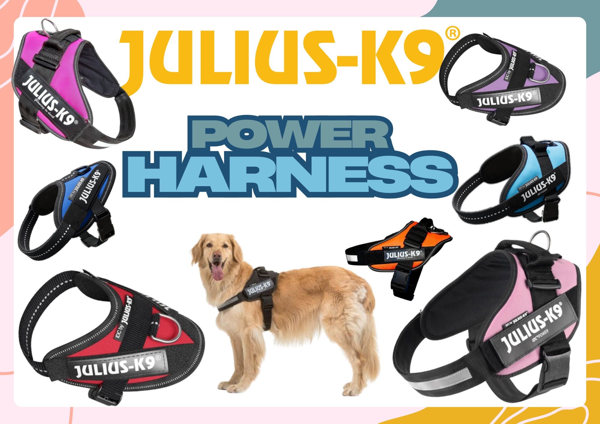 Power Harness (Black) | Julius K9