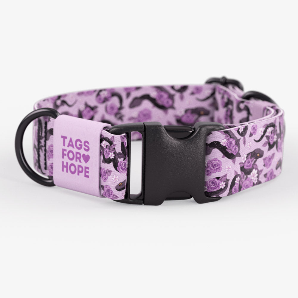 Violet Viper Collar | Tags For Hope