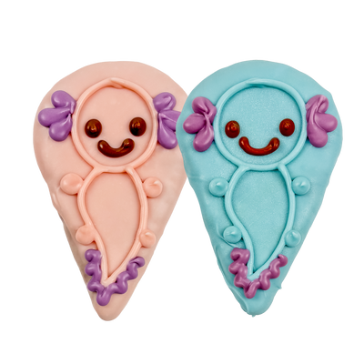 Sir-Smiles-A-Lotl Cookie | Bosco & Roxy's