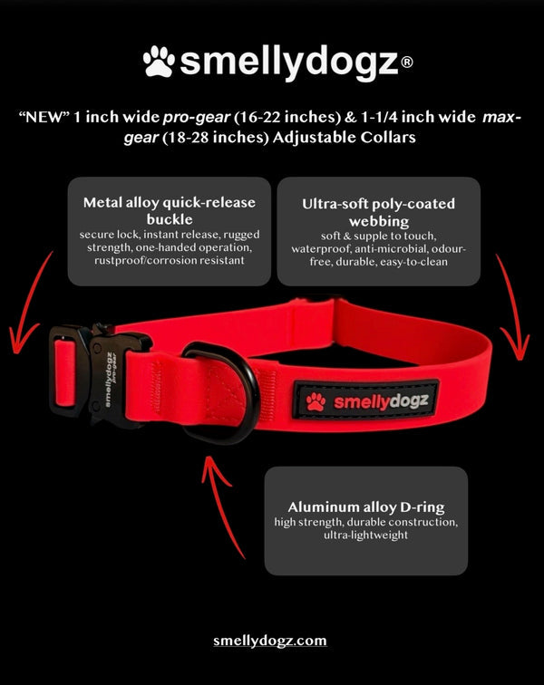 Adjustable Comfort Collar Pro (1 1/4") | Smellydogz