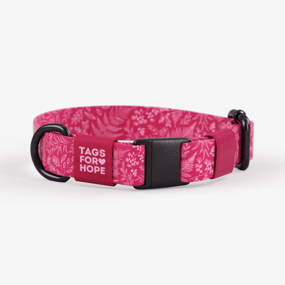Fuchsia Botanical Cat Collar (XSmall) | Tags For Hope