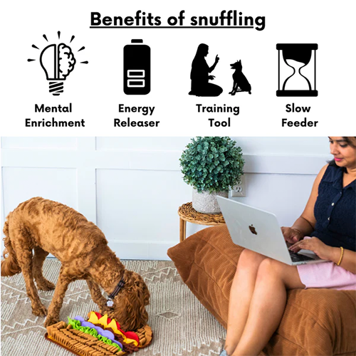 Juicy Hamburger Snuffle Mat | PawzNDogz