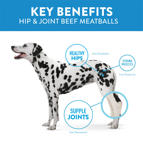 Hip & Joint Meatball Treats (Beef, 14oz) | Dogswell