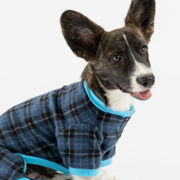 Soft Blue Plaid Pajamas | Silver Paw