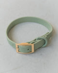 Waterproof Collar (Sage Green) | Dexypaws