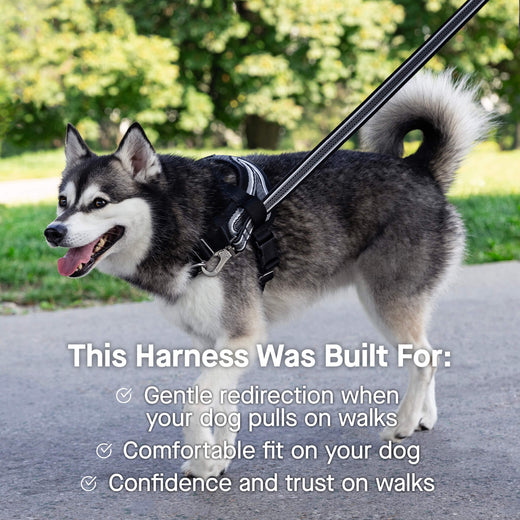 Re-Direct Harness (Purple/Lavender) | Canada Pooch