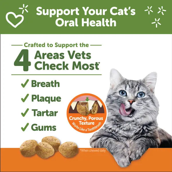 Cat Dental Treats (Chicken, 4.5oz) | Whimzees