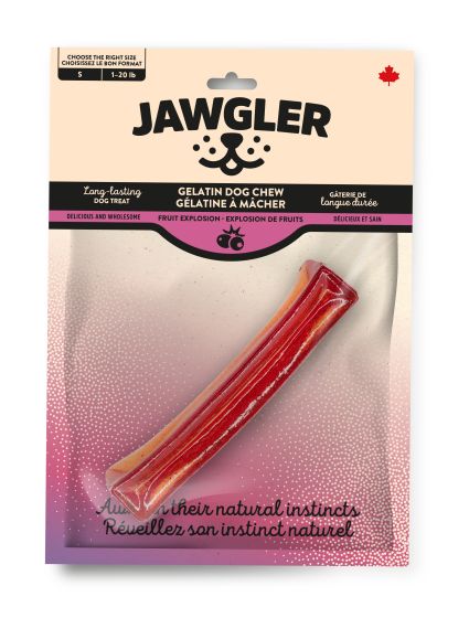 Gelatin Dog Chew (Fruit Explosion Flavour, Small) | Jawgler