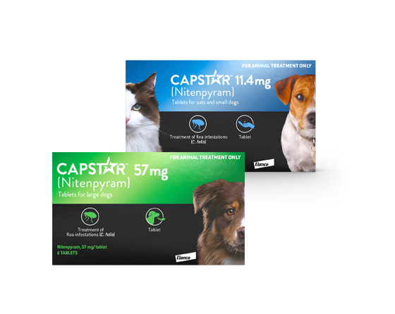 Flea Treatment Tablets (Large Dogs)  | Elanco