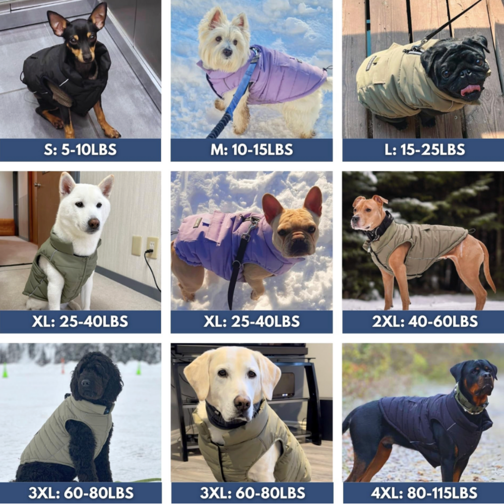 WarmShield Water-Resistant Jacket  (Olive) | Spark Paws
