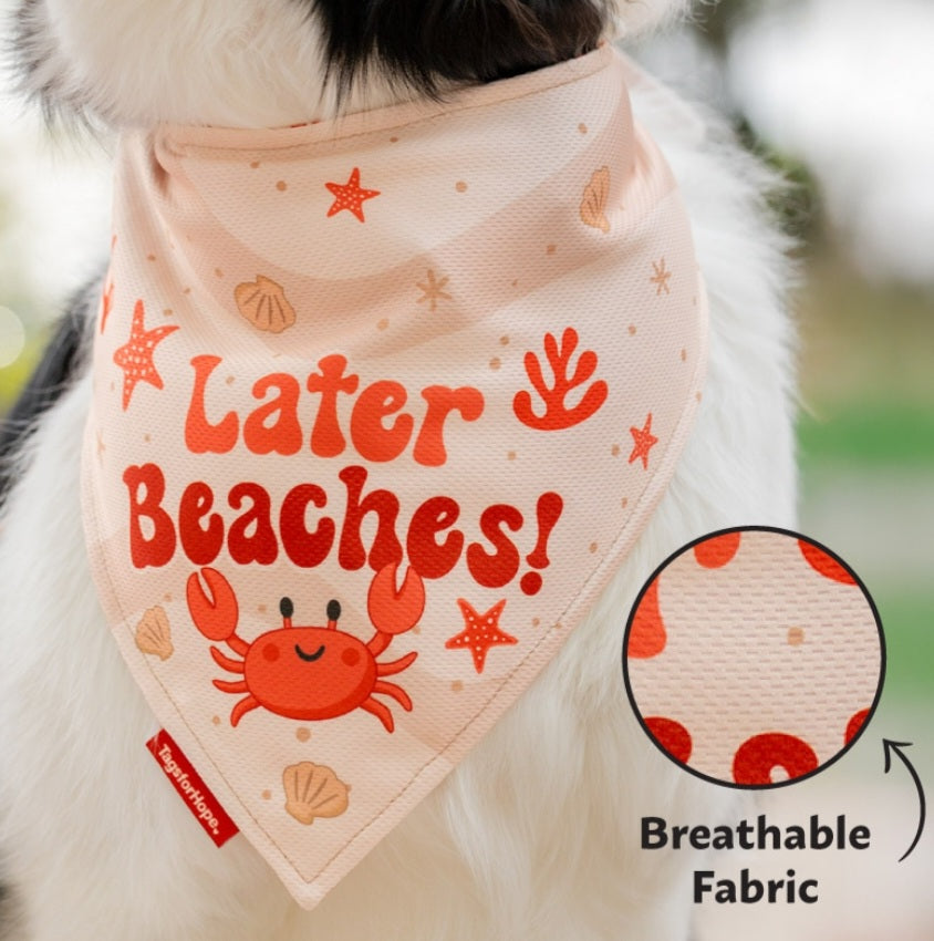 Cute But Crabby Bandana (Reversible) | Tags For Hope