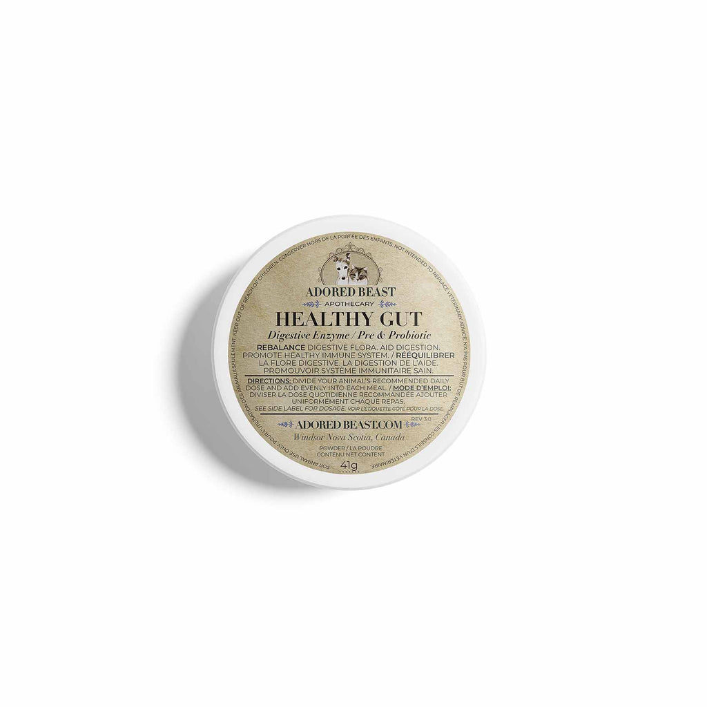 Healthy Gut (Digestive Enzymes + Pre & Probiotic, 41g) | Adored Beast Apothecary