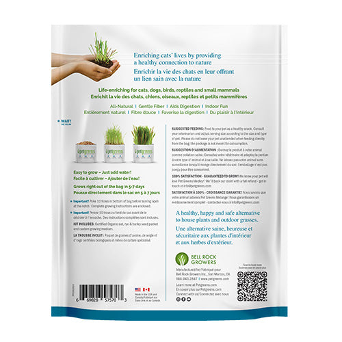 Easy Self-Grow Cat Grass Kit (Medley) | Pet Greens